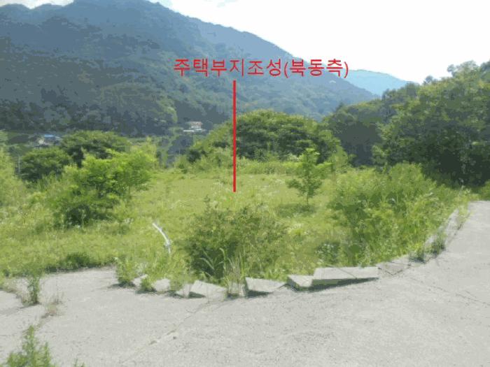 충청북도 제천시 백운면 덕동리 산22-4 임야 경매 사진 14