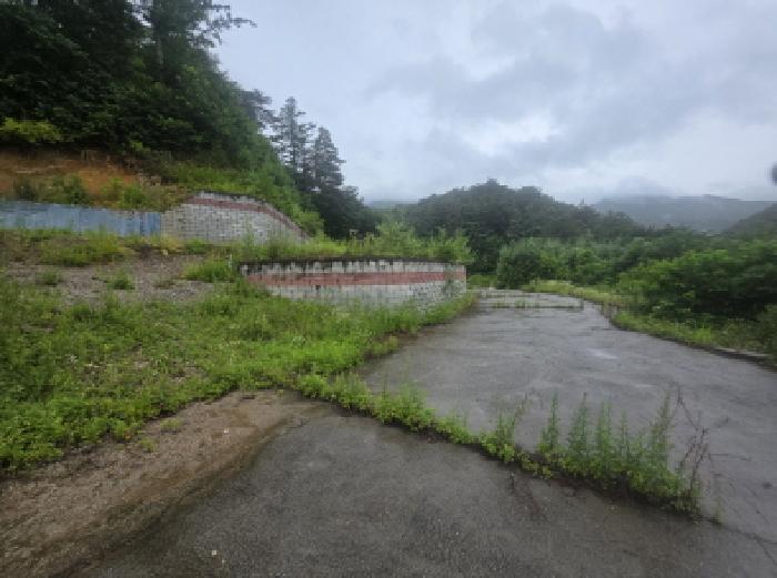 충청북도 제천시 백운면 덕동리 산22-4 임야 경매 사진 17
