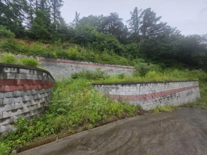 충청북도 제천시 백운면 덕동리 산22-4 임야 경매 사진 18