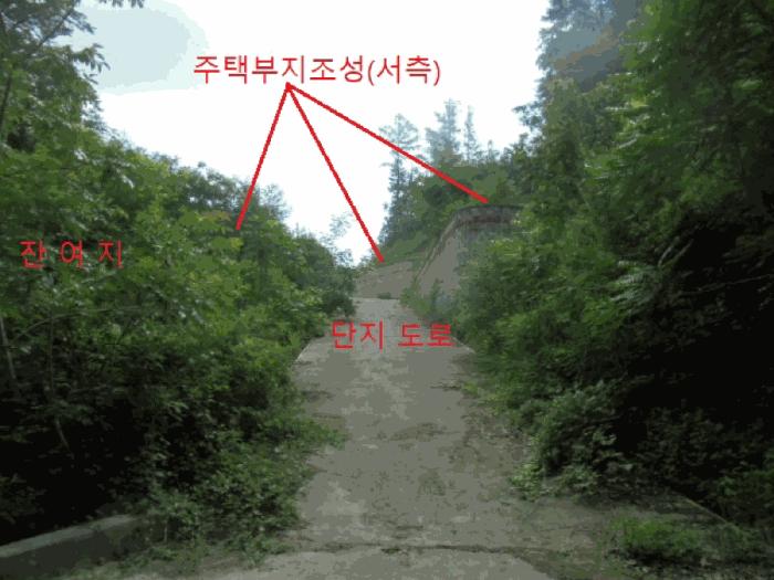 충청북도 제천시 백운면 덕동리 산22-4 임야 경매 사진 2