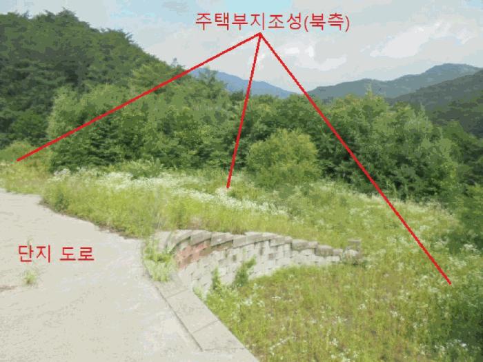 충청북도 제천시 백운면 덕동리 산22-4 임야 경매 사진 3