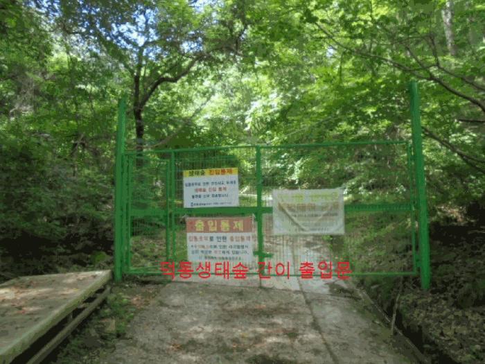 충청북도 제천시 백운면 덕동리 산22-4 임야 경매 사진 4