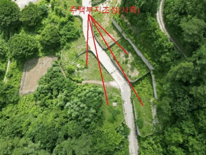 충청북도 제천시 백운면 덕동리 산22-4 임야 경매 사진 6