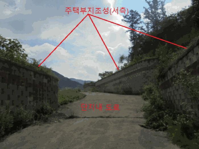 충청북도 제천시 백운면 덕동리 산22-4 임야 경매 사진 8