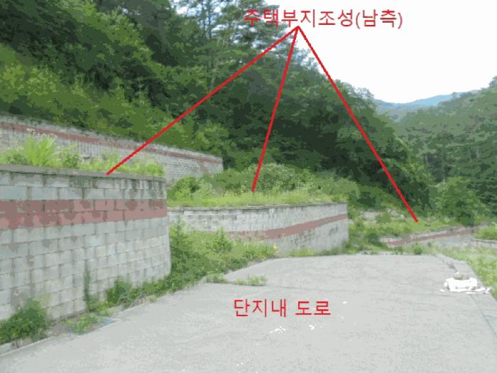 충청북도 제천시 백운면 덕동리 산22-4 임야 경매 사진 9
