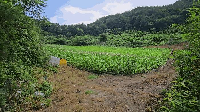충청북도 단양군 전