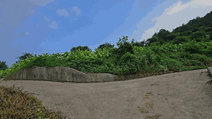 충청북도 단양군 영춘면 사이곡리 335 전 경매 사진 2