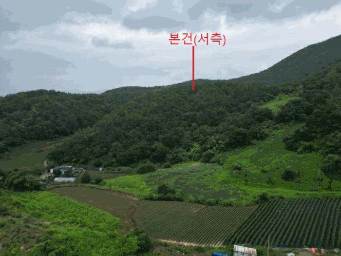 충청북도 제천시 덕산면 도기리 산54 임야 경매 사진 10