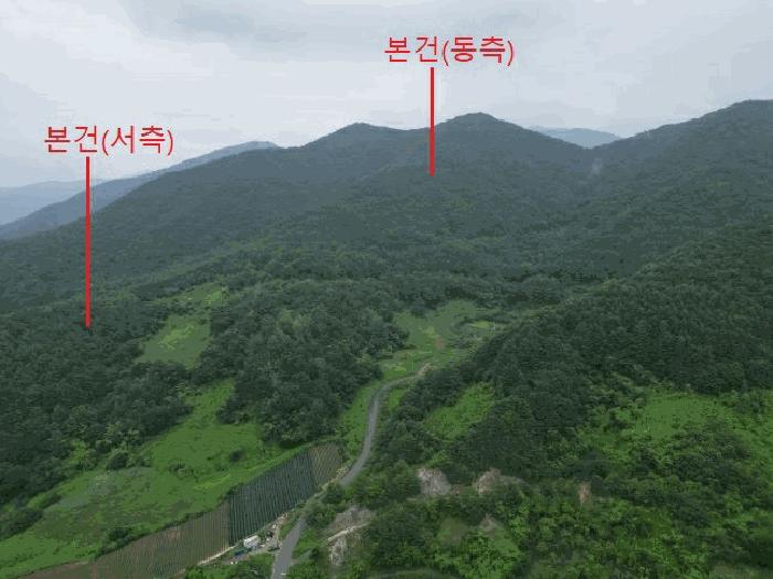 충청북도 제천시 덕산면 도기리 산54 임야 경매 사진 14