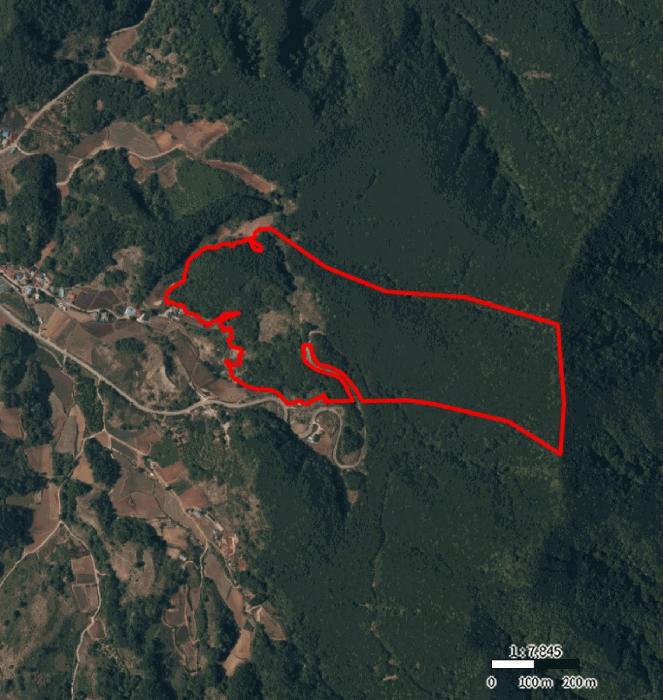 충청북도 제천시 덕산면 도기리 산54 임야 경매 사진 17
