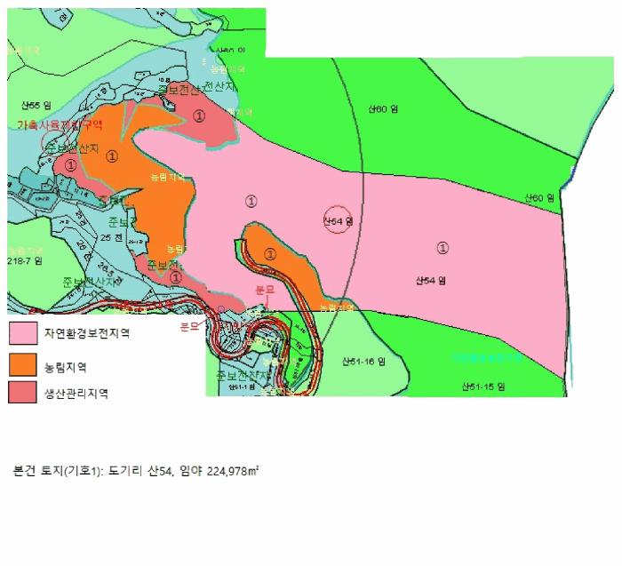 충청북도 제천시 덕산면 도기리 산54 임야 경매 사진 18