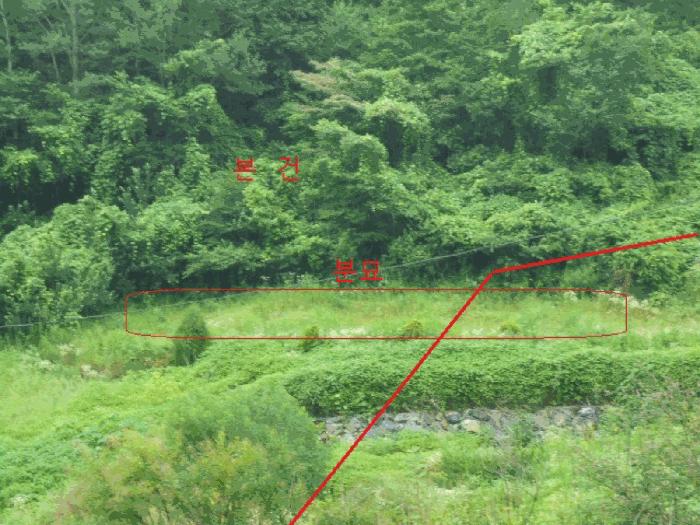 충청북도 제천시 덕산면 도기리 산54 임야 경매 사진 2