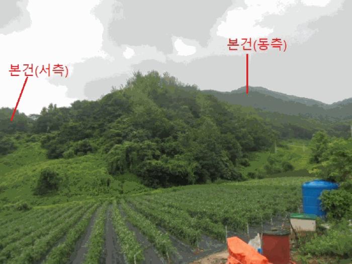 충청북도 제천시 덕산면 도기리 산54 임야 경매 사진 4