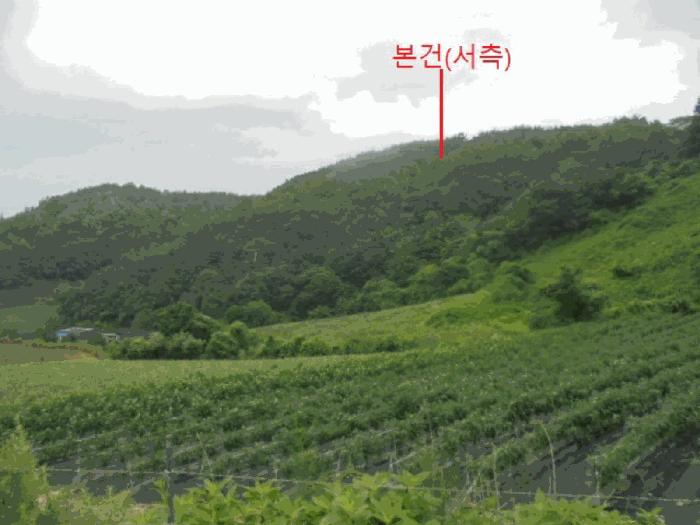 충청북도 제천시 덕산면 도기리 산54 임야 경매 사진 5