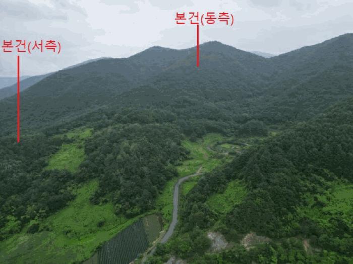충청북도 제천시 덕산면 도기리 산54 임야 경매 사진 8