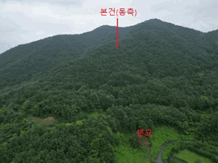 충청북도 제천시 덕산면 도기리 산54 임야 경매 사진 9