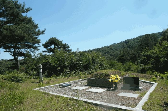 충청남도 부여군 장암면 점상리 산99 임야 경매 사진 4