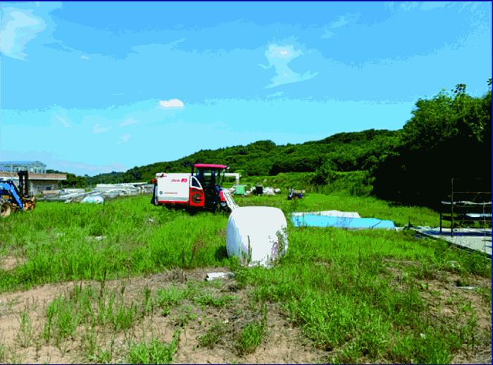 충청남도 부여군 규암면 수목리 535 전 경매 사진 6