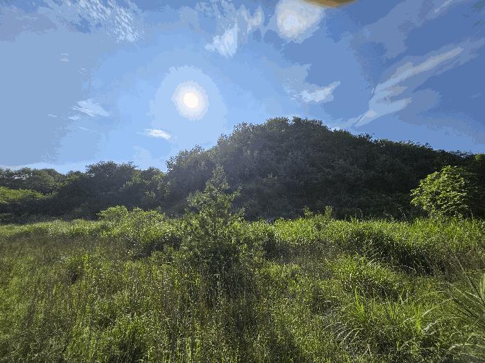 충청남도 논산시 연무읍 마전리 281-28 공장용지 경매 사진 12
