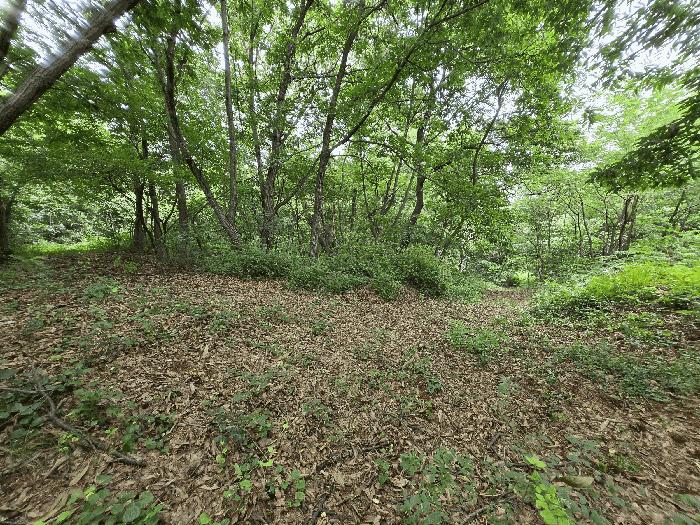 충청남도 논산시 연무읍 마전리 281-28 공장용지 경매 사진 13