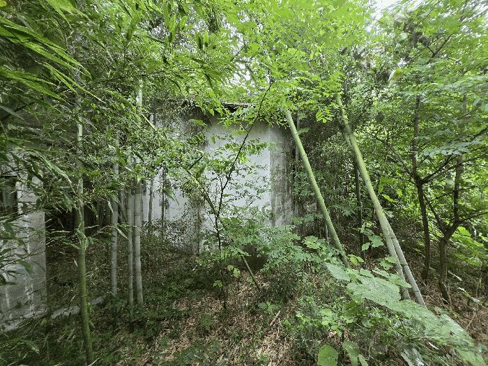 충청남도 논산시 연무읍 마전리 281-28 공장용지 경매 사진 8