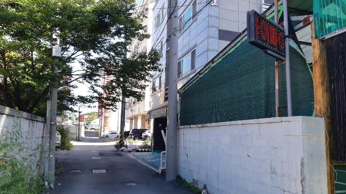 경상북도 포항시 대지