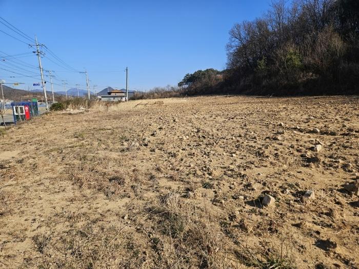 경상북도 안동시 풍천면 도양리 940 전 경매 사진 2