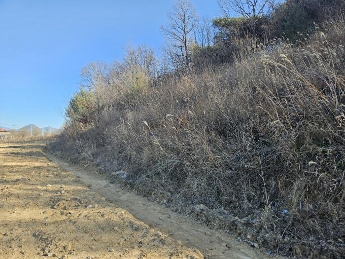 경상북도 안동시 풍천면 도양리 940 전 경매 사진 4