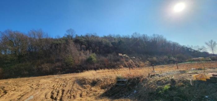 경상북도 안동시 풍천면 도양리 940 전 경매 사진 8