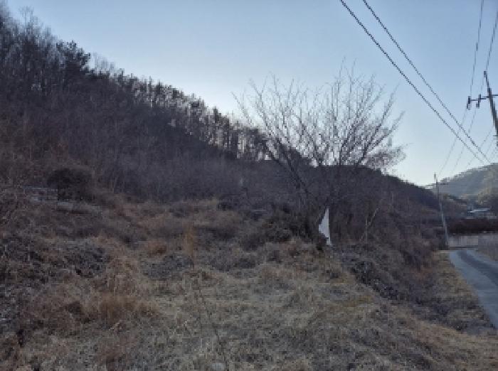 경상북도 포항시 북구 기계면 남계리 567 전 경매 사진 8