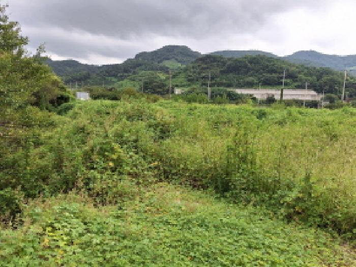 전라남도 광양시 진상면 섬거리 85-3 답 경매 사진 10