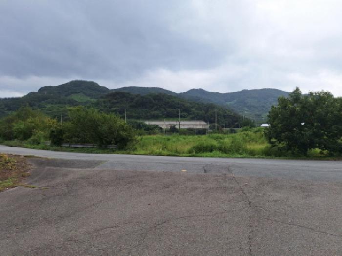 전라남도 광양시 진상면 섬거리 85-3 답 경매 사진 14