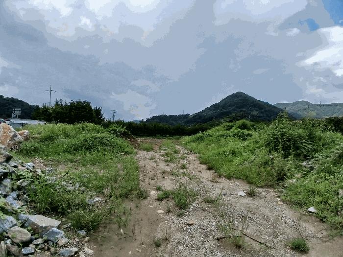 전라남도 광양시 진상면 섬거리 85-3 답 경매 사진 2