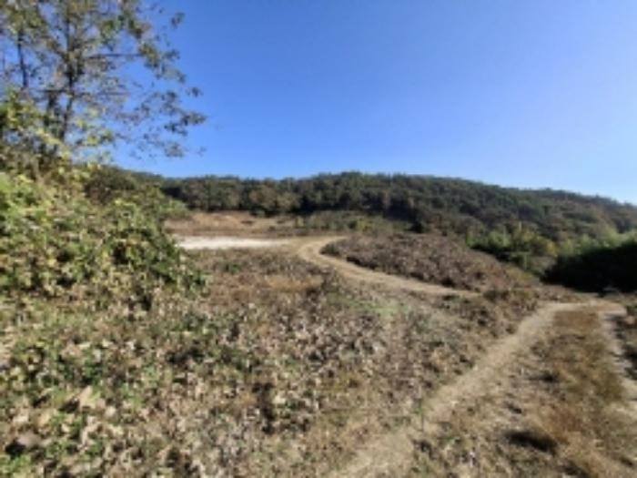 경상남도 사천시 곤양면 대진리 350-1 전 경매 사진 18