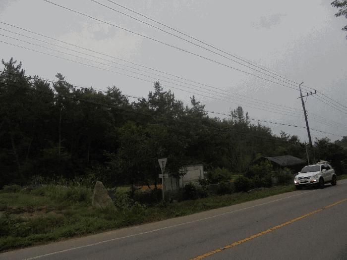 전라남도 고흥군 동강면 노동리 산28 임야 경매 사진 3