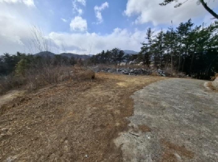 경상남도 남해군 창선면 부윤리 산47-4 임야 경매 사진 2
