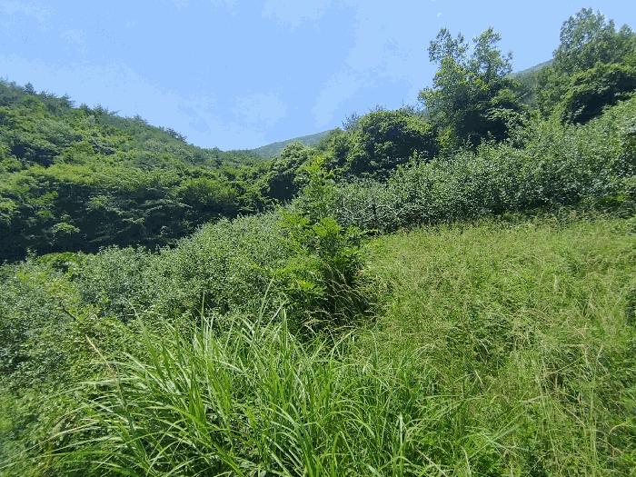 경상남도 밀양시 산내면 남명리 1902 답 경매 사진 3
