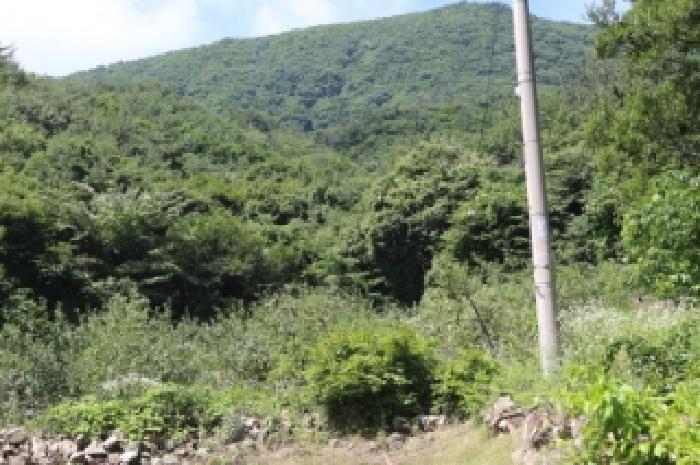 경상남도 밀양시 산내면 남명리 1902 답 경매 사진 5