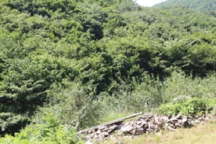 경상남도 밀양시 산내면 남명리 1902 답 경매 사진 6