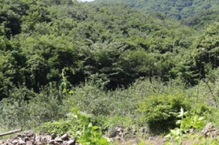 경상남도 밀양시 산내면 남명리 1902 답 경매 사진 7
