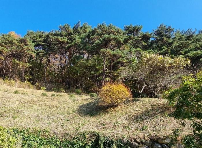 경상남도 하동군 악양면 신흥리 1 종교시설 경매 사진 12