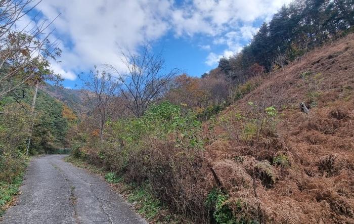 경상남도 하동군 악양면 신흥리 1 종교시설 경매 사진 43