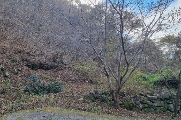 경상남도 하동군 악양면 신흥리 1 종교시설 경매 사진 44