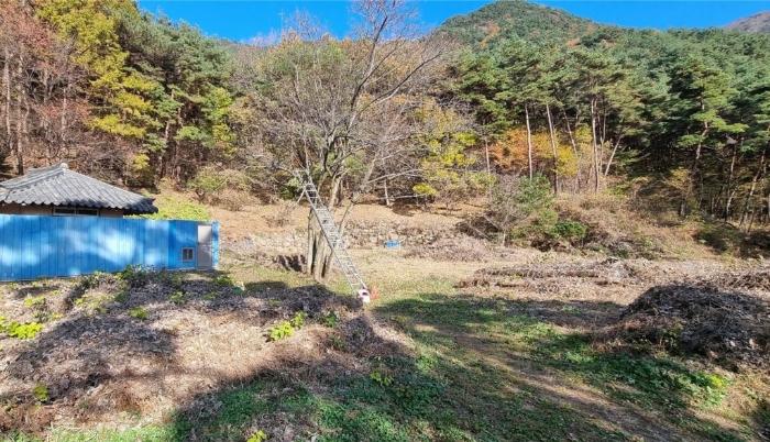 경상남도 하동군 악양면 신흥리 1 종교시설 경매 사진 59