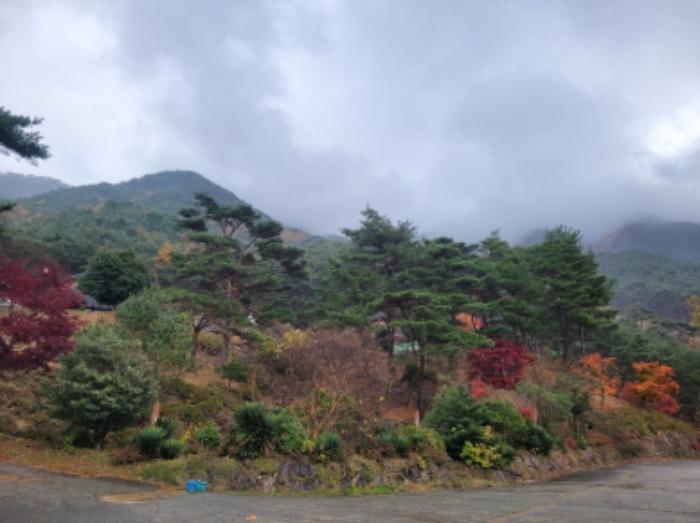 경상남도 하동군 악양면 신흥리 1 종교시설 경매 사진 67