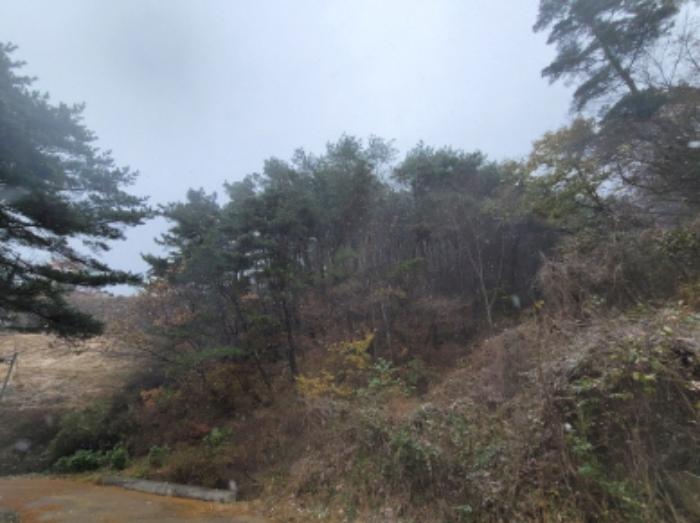 경상남도 하동군 악양면 신흥리 1 종교시설 경매 사진 70