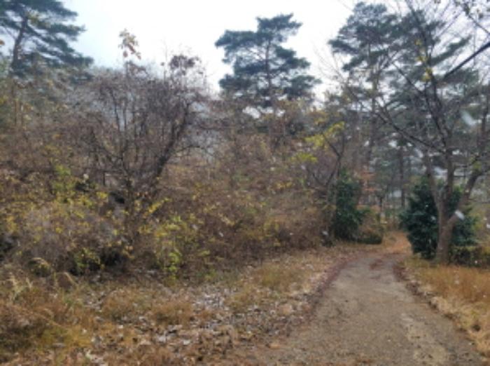 경상남도 하동군 악양면 신흥리 1 종교시설 경매 사진 71