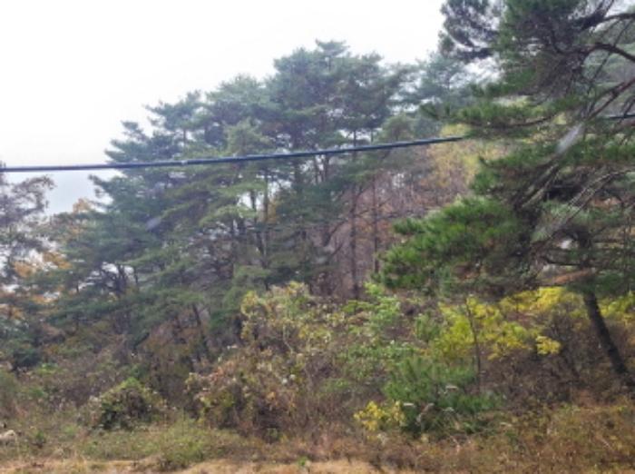 경상남도 하동군 악양면 신흥리 1 종교시설 경매 사진 72