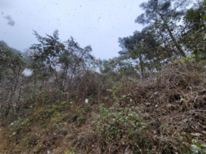 경상남도 하동군 악양면 신흥리 1 종교시설 경매 사진 78