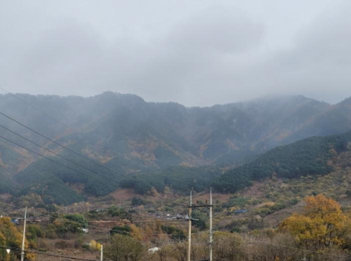 경상남도 하동군 악양면 신흥리 1 종교시설 경매 사진 79